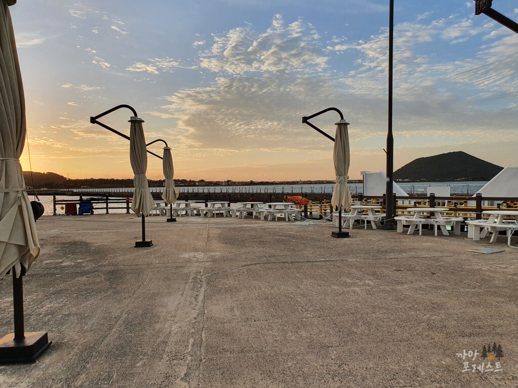 카페더씨 야외석