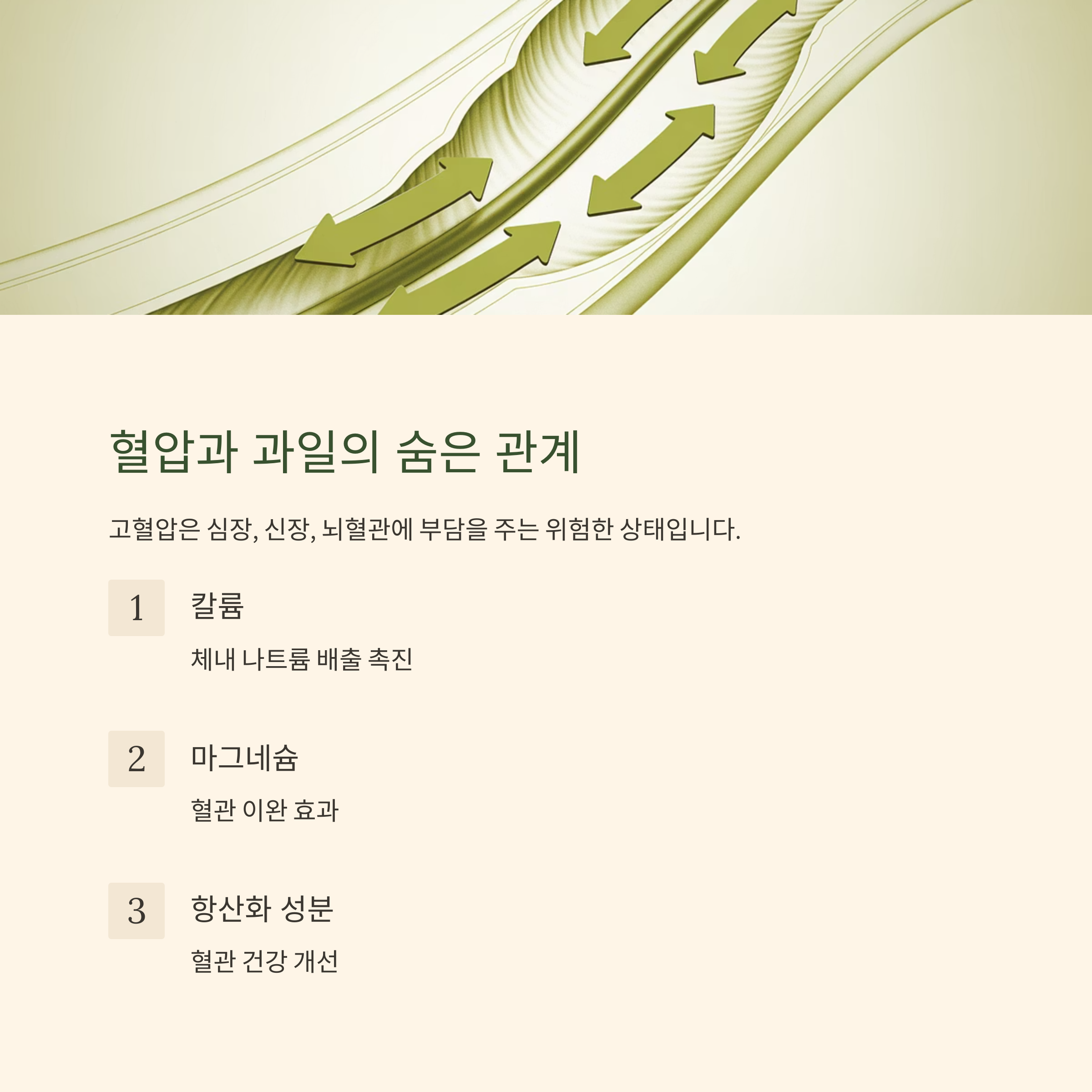 과일과 혈압의 관계를 설명하는 이미지, 혈관 일러스트와 함께 칼륨, 마그네슘, 항산화 성분이 혈관 건강에 미치는 영향 설명