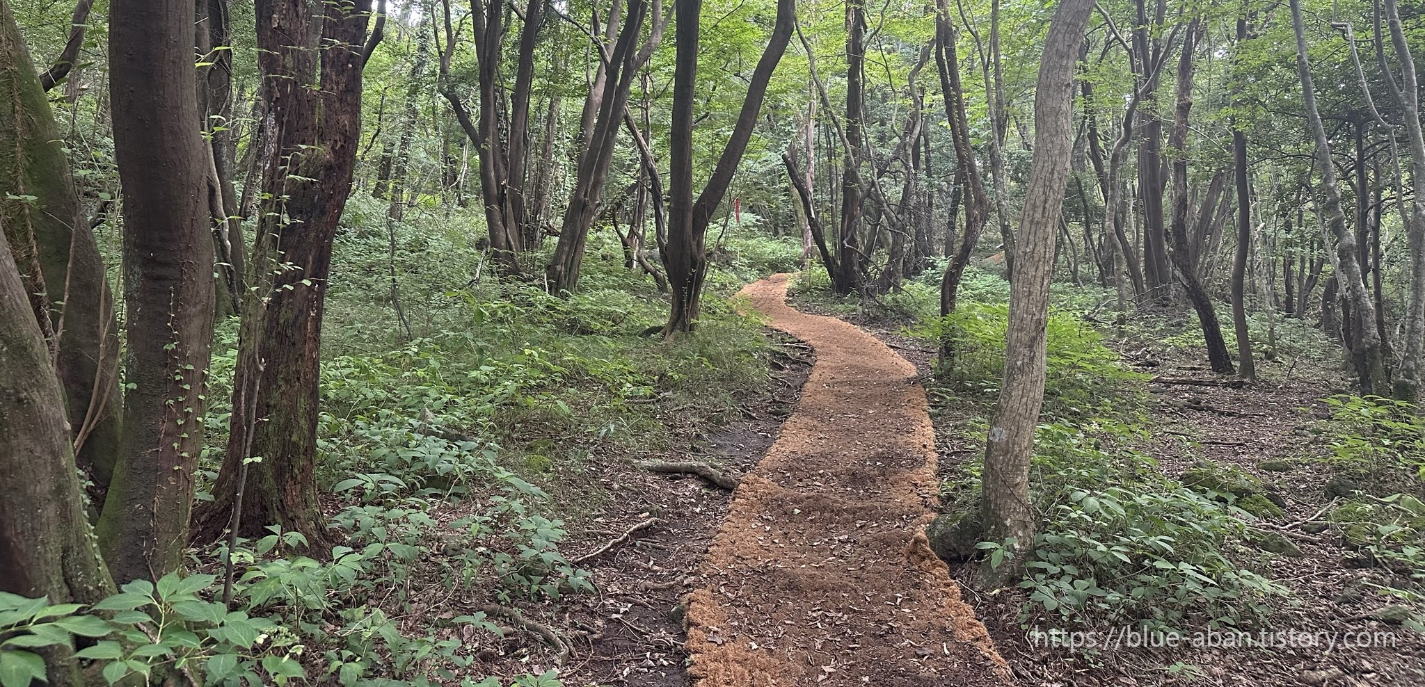 산책로