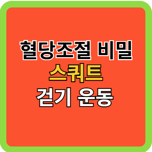 혈당조절의 비밀, 스쿼트와 걷기 운동!