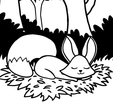 수면중인 귀큰 다람쥐