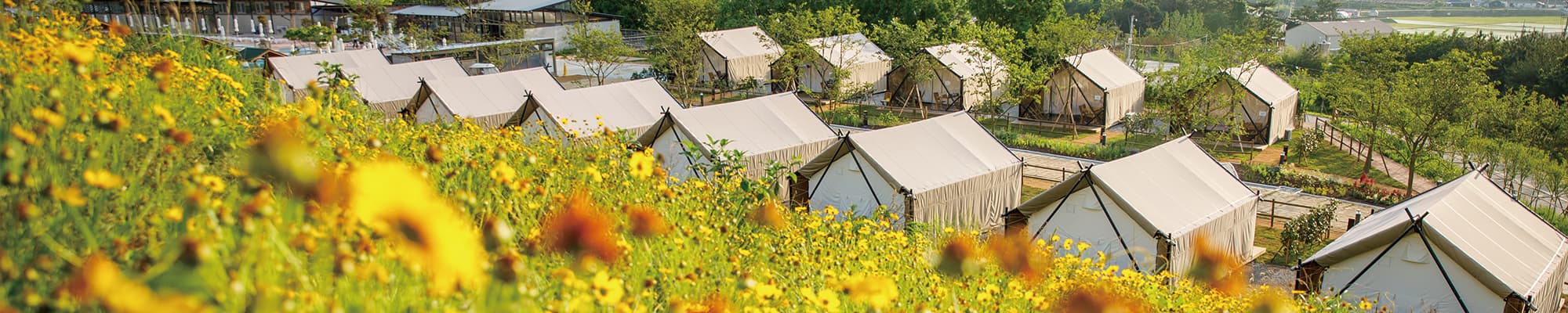 상하농원 시리즈 2편 ❘상하호텔 & 글램핑 완벽 비교 후기, 예약 방법 및 꿀팁