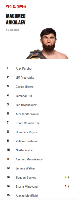 라이트헤비급-랭킹