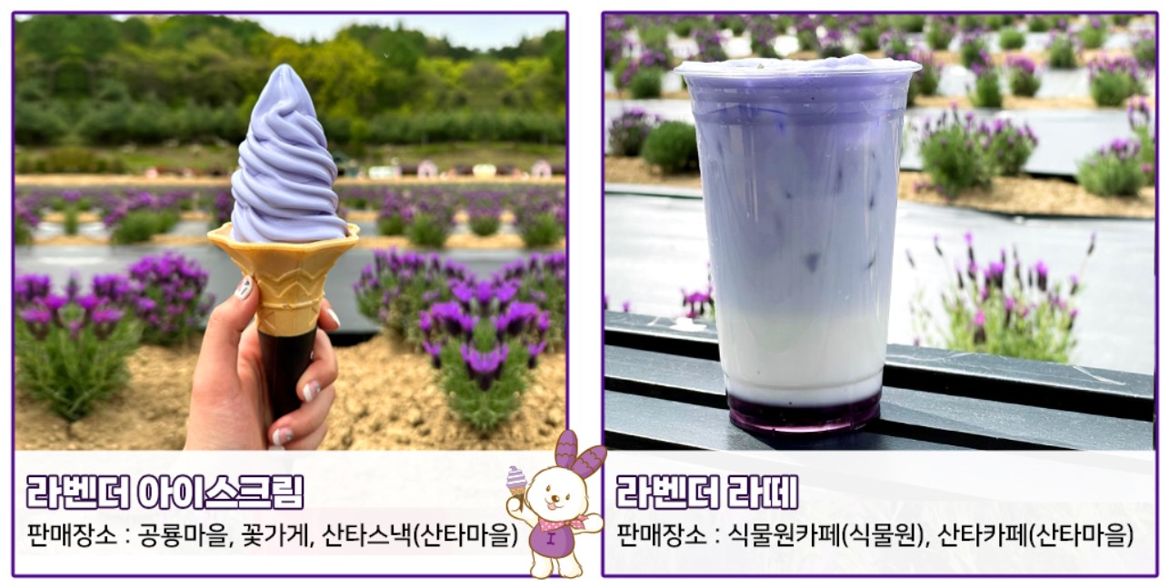 라벤더 아이스크림&amp;#44; 라벤더 라떼
