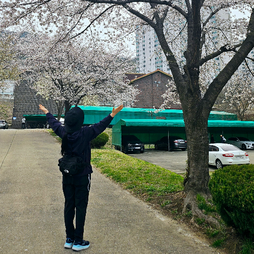 2025년 봄철 저속 노화 루틴 햇빛, 걷기, 아침 습관 관련 사진