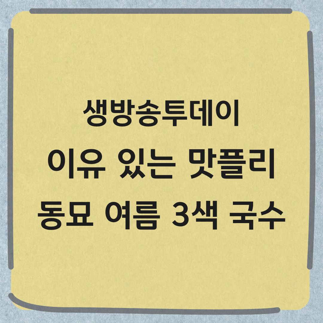 종로구 3색 여름 국수 생방송투데이 이유있는맛플리 맛집 정보