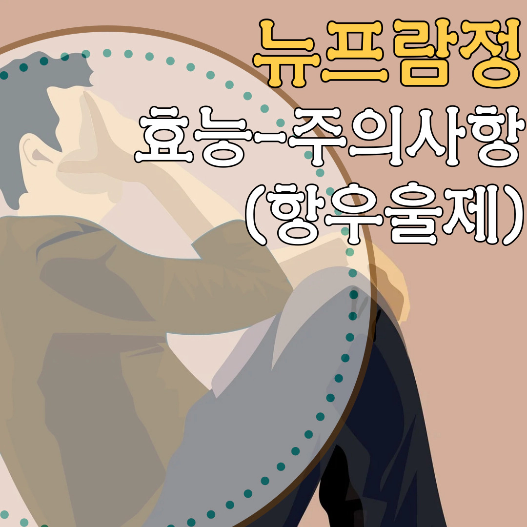 뉴프람정 효능-주의사항 (항우울제)