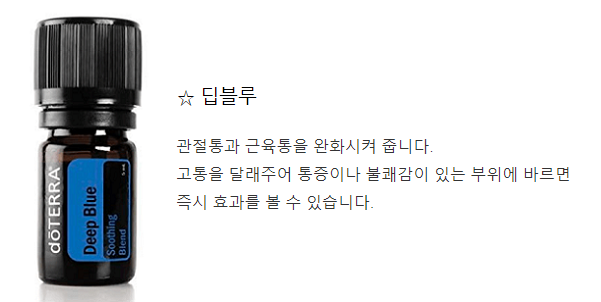 딥블루