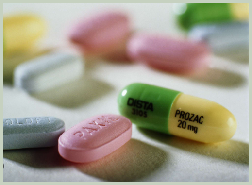 도파민 수치 증가 영양제