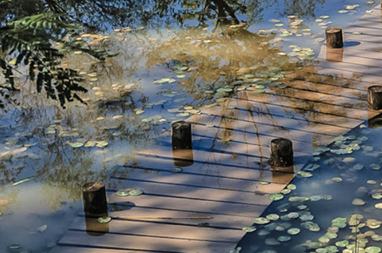 팜카밀레 허브농원