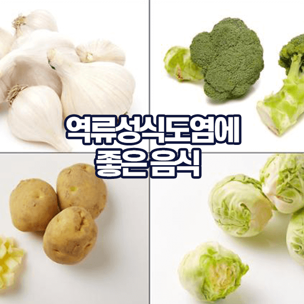 역류성식도염에 좋은음식