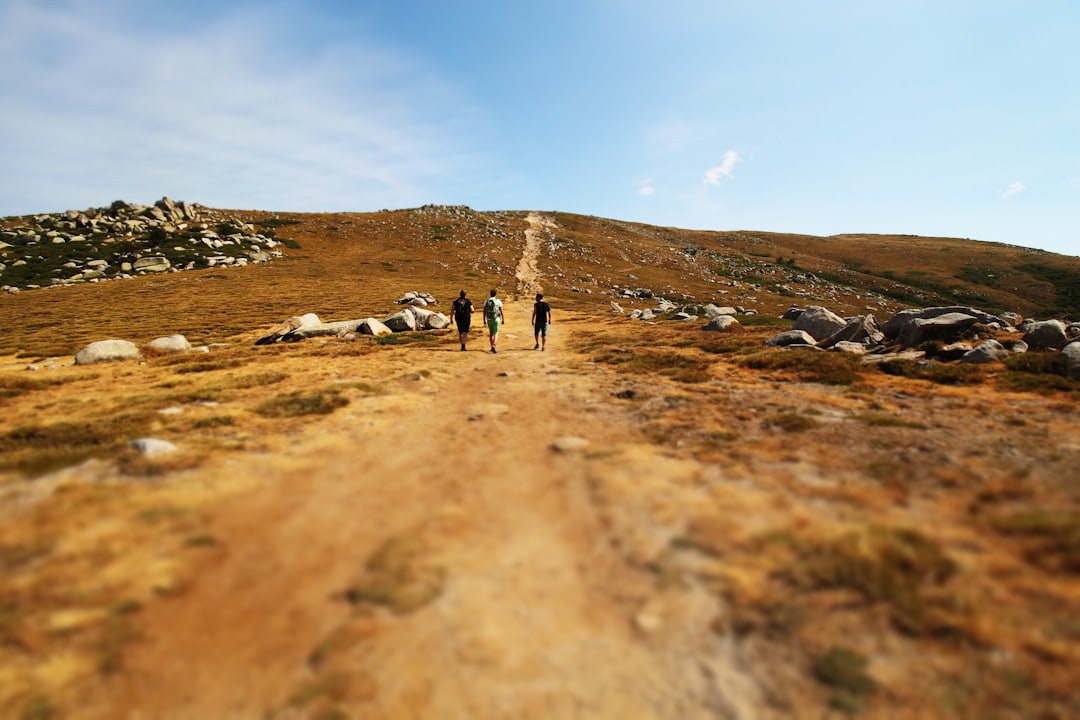 Trekking