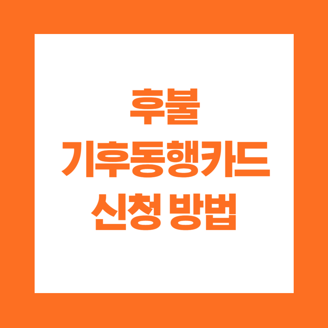 후불 기후동행카드 신청 방법 카드사별 혜택