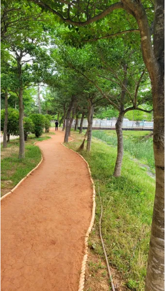 황토길 맨발걷기 효능 부작용 무좀_4