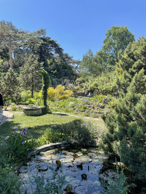 알빵 가든 (Jardin alpin)