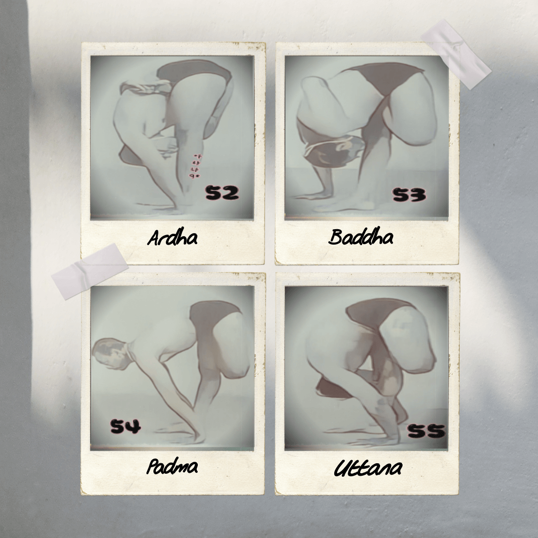 아르다 받다 파드모타나아사나