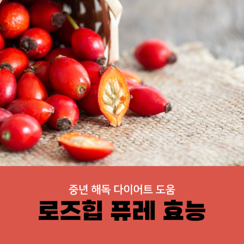 로즈힙퓨레