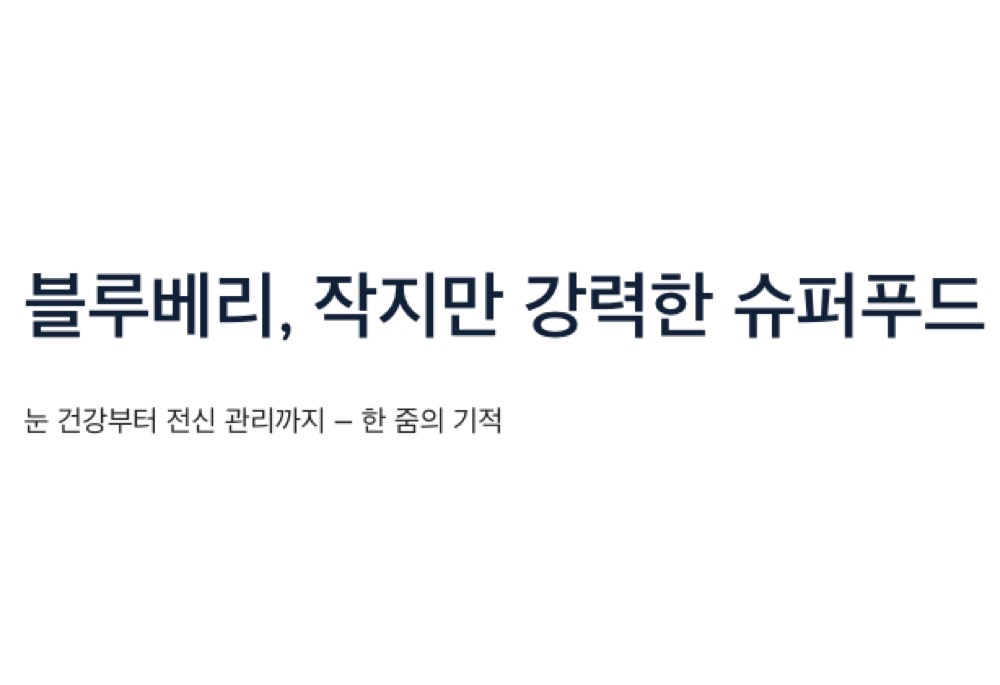 블루베리 슈퍼푸드