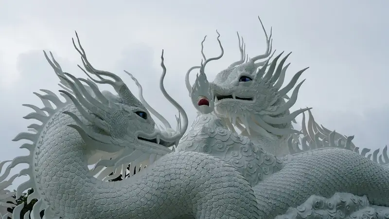 2024년-띠운세-용띠