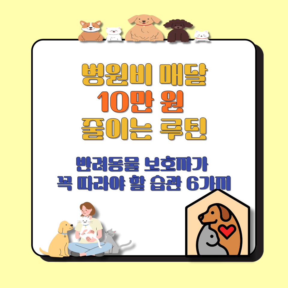병원비 매달 10만 원 줄이는 루틴|반려동물 보호자가 꼭 따라야 할 습관 6가지