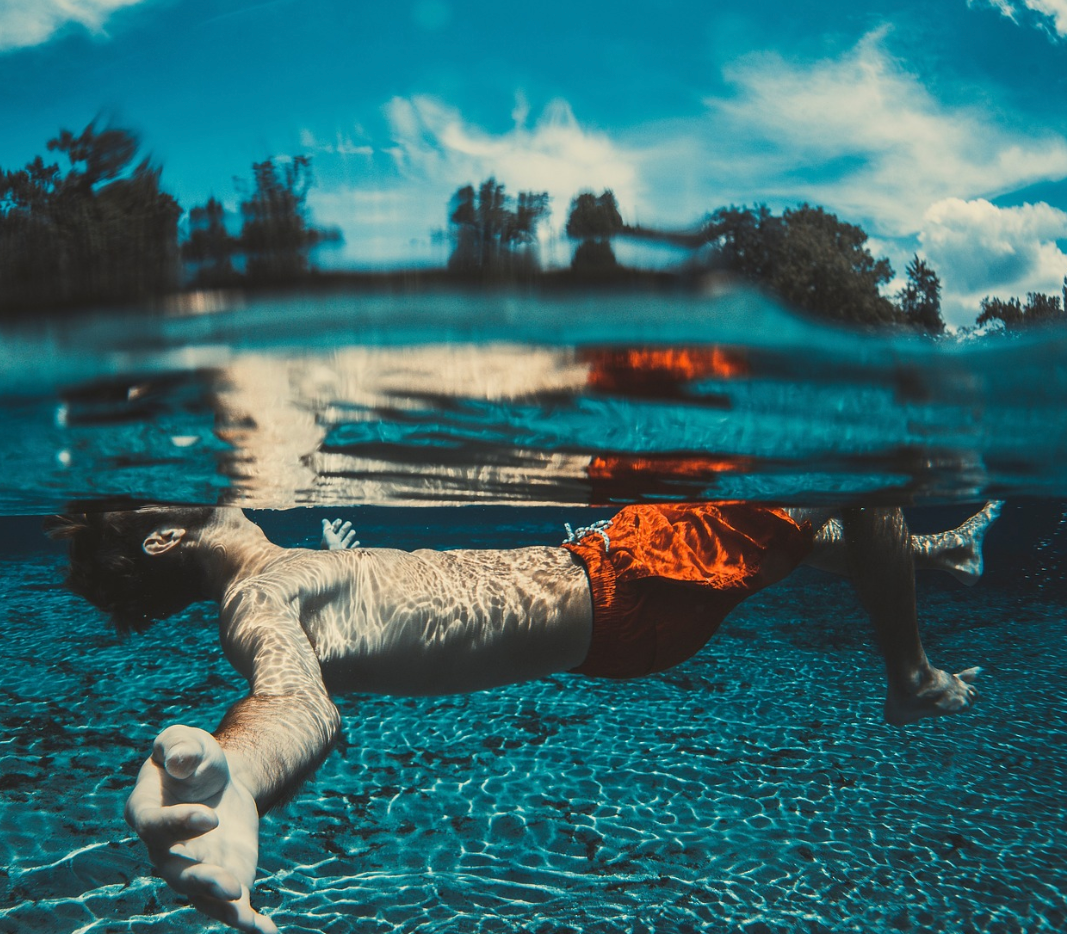 수영과 관련된 사진