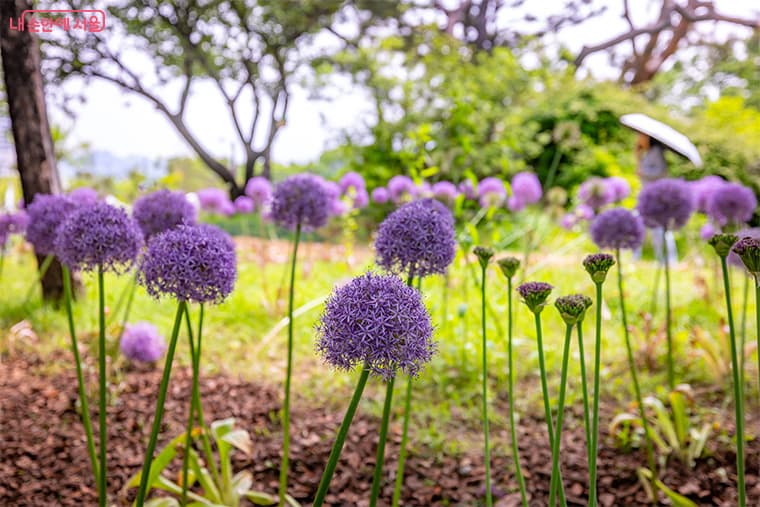 2025 서울국제정원박람회