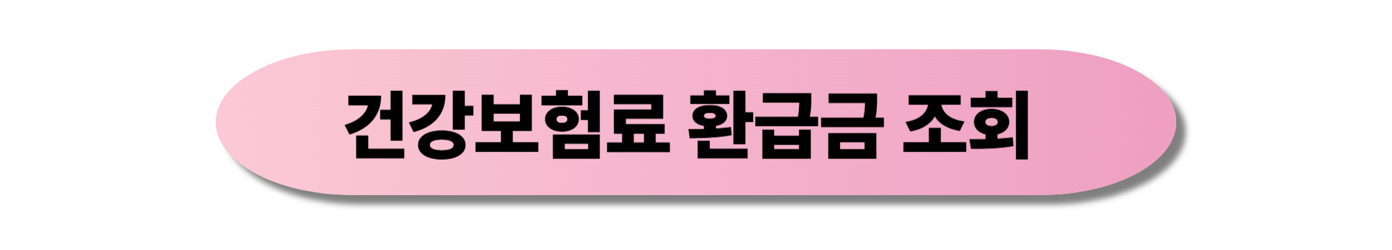 건강보험료 환급 신청 방법, 환급금 조회