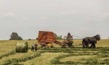 추간판 탈출증 치료방법 똑똑한 사람들만 아는 전략 알아보기