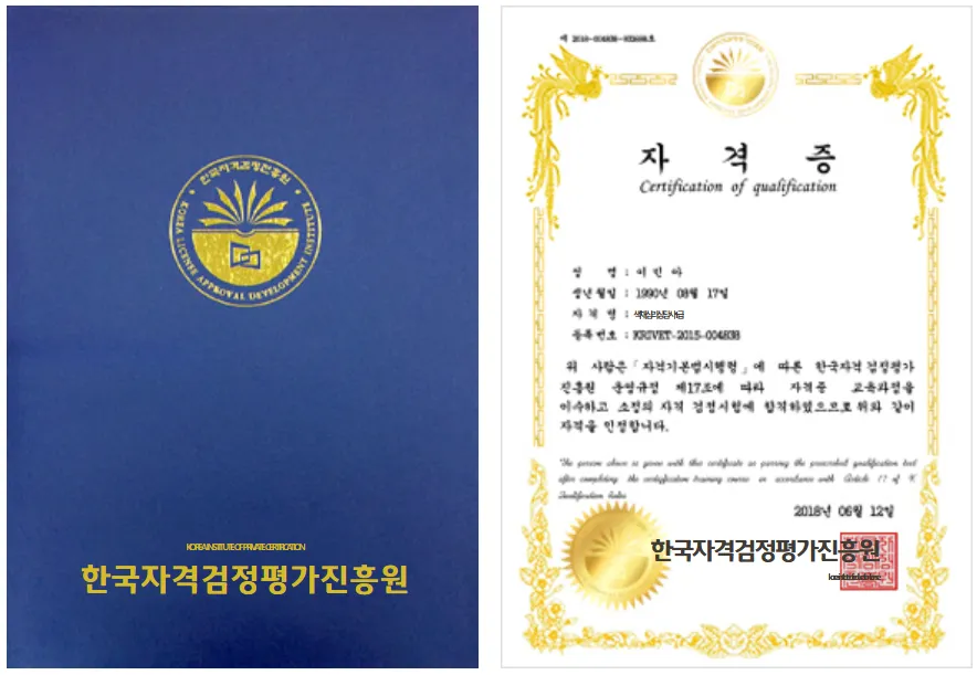 색채심리상담사 자격요건 공부방법 활용분야 시니어 컬러 힐링 직업 가이드_2