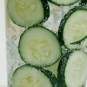 오이-cucumber