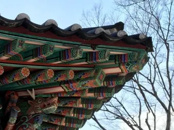 사래가 잘 걸리는 이유 사래 걸렸을때 대처법_7