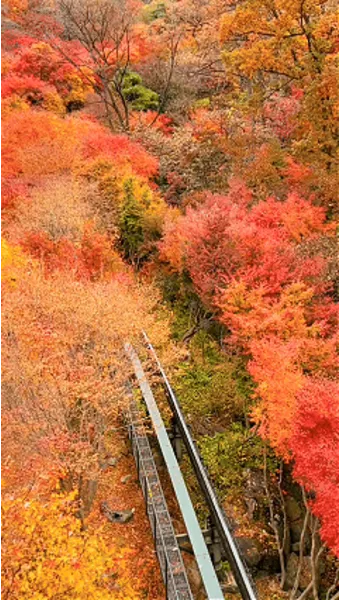 화담숲 입장료 할인 받는 법부터 예매 꿀팁까지는 총정리_5