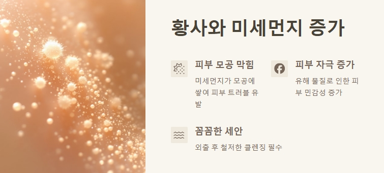 봄철 피부가 겪는 문제점 - 황사와 미세먼지 증가