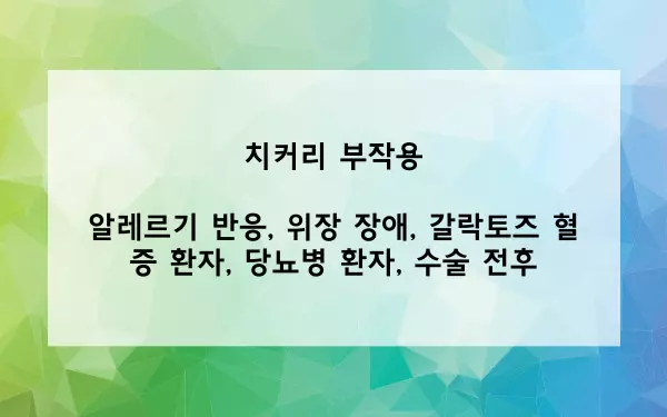 치커리 부작용 사진
