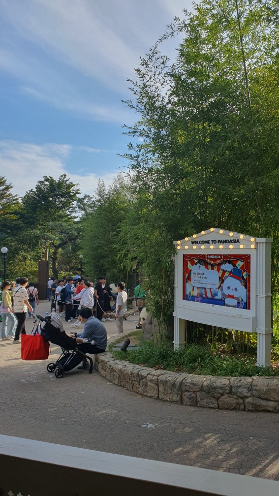 판다월드 대기줄 2