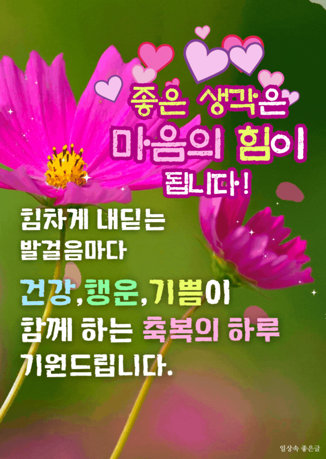 연분홍 코스모스 꽃 배경에 좋은 생각과 축복을 전하는 아침 인사말이 담긴 이미지