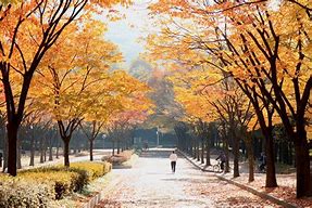 인천대공원