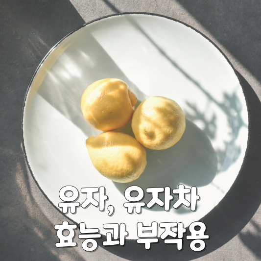유자
