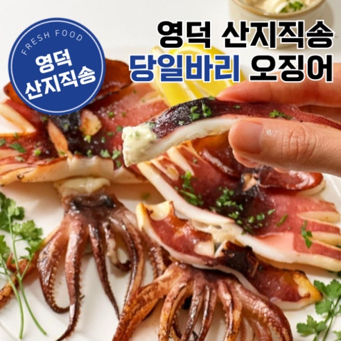 반건조 오징어 - 경북 영덕