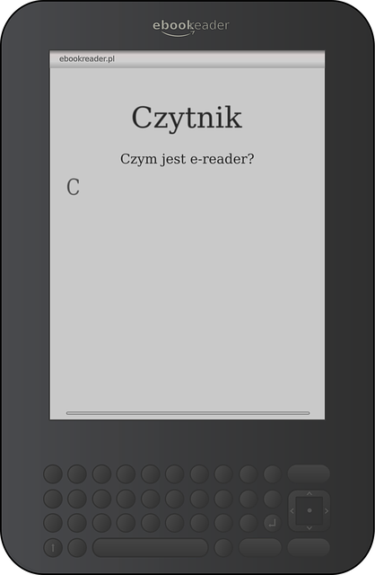 이북리더기 추천(장점과 단점&amp;#44; 주요 브랜드 추천)