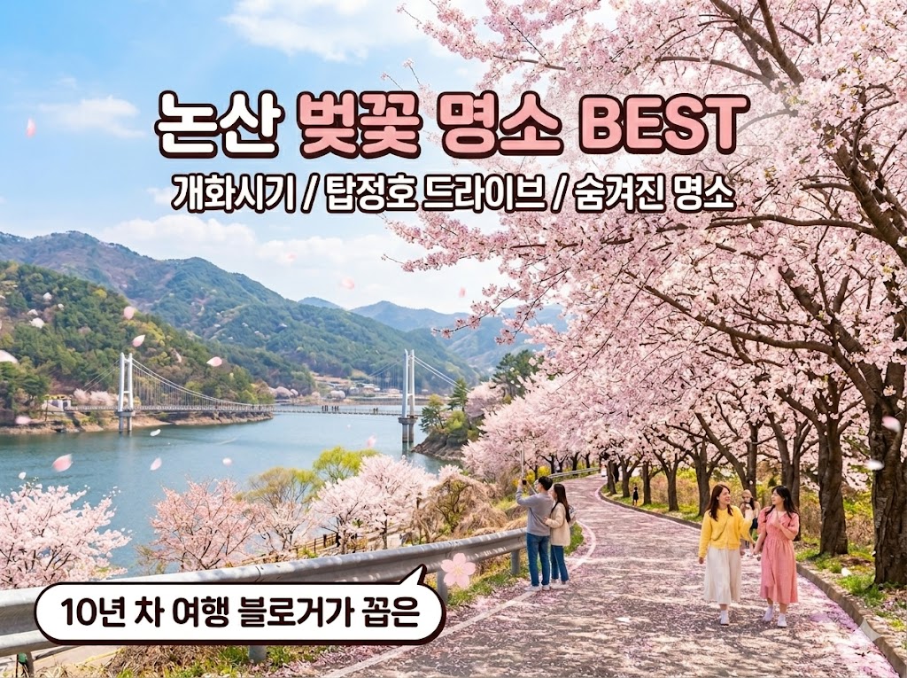 논산 벚꽃 명소