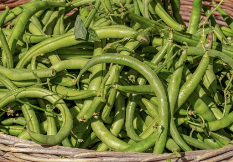 대장내시경 전 음식주의사항 5