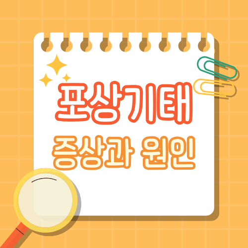 포상기태 증상과 원인, 진단&middot;치료&middot;재임신까지