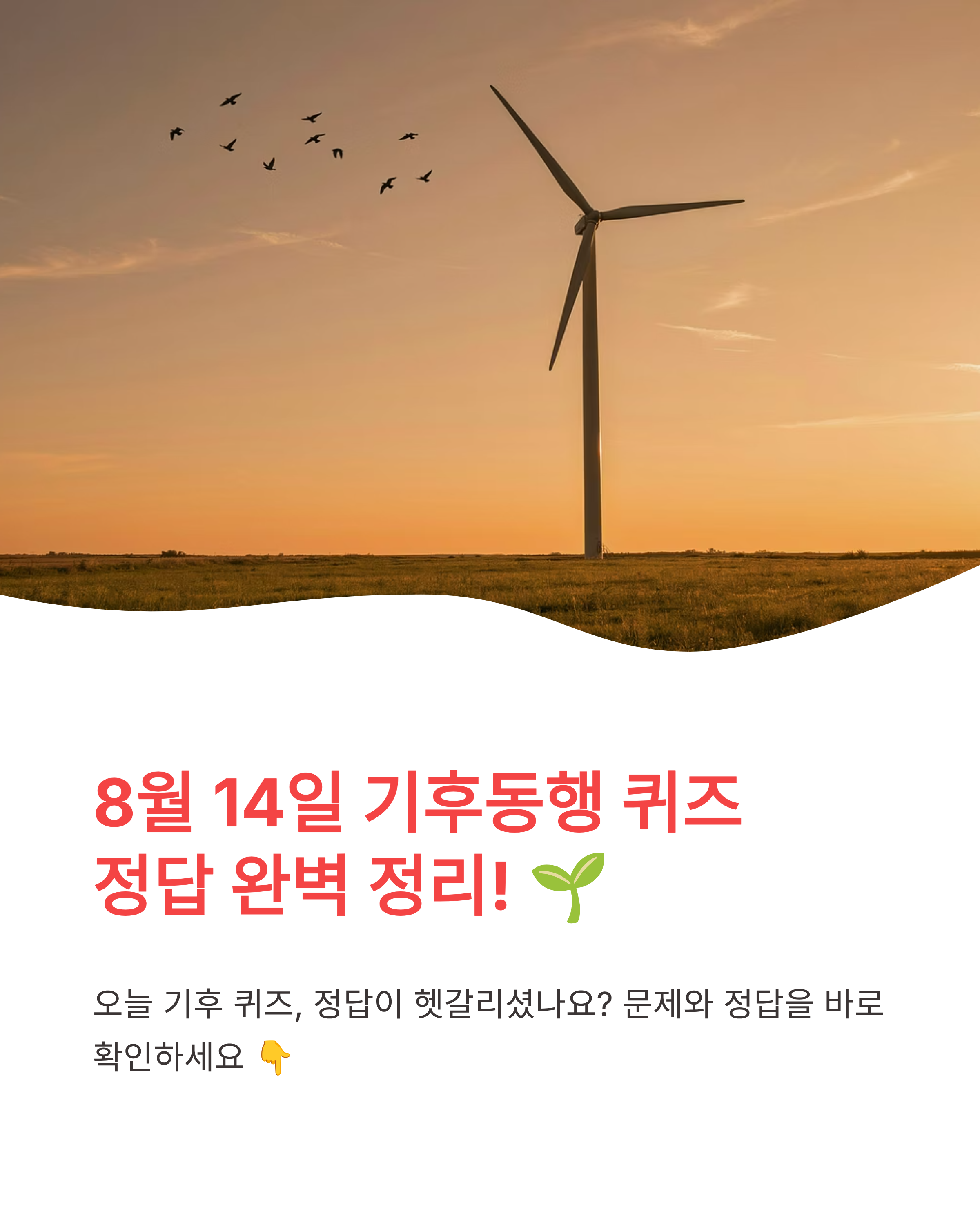 8월 14일 기후동행(기후행동) 퀴즈정답 완벽정리!!기후 퀴즈 정답 바로 확인