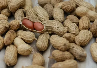 땅콩 칼로리 영양성분 과다섭취 부작용_8