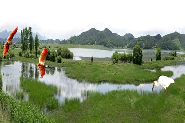 경남 창녕군 우포늪, 우포생태관, 우포출렁다리