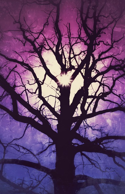 티아라 왕따 사건