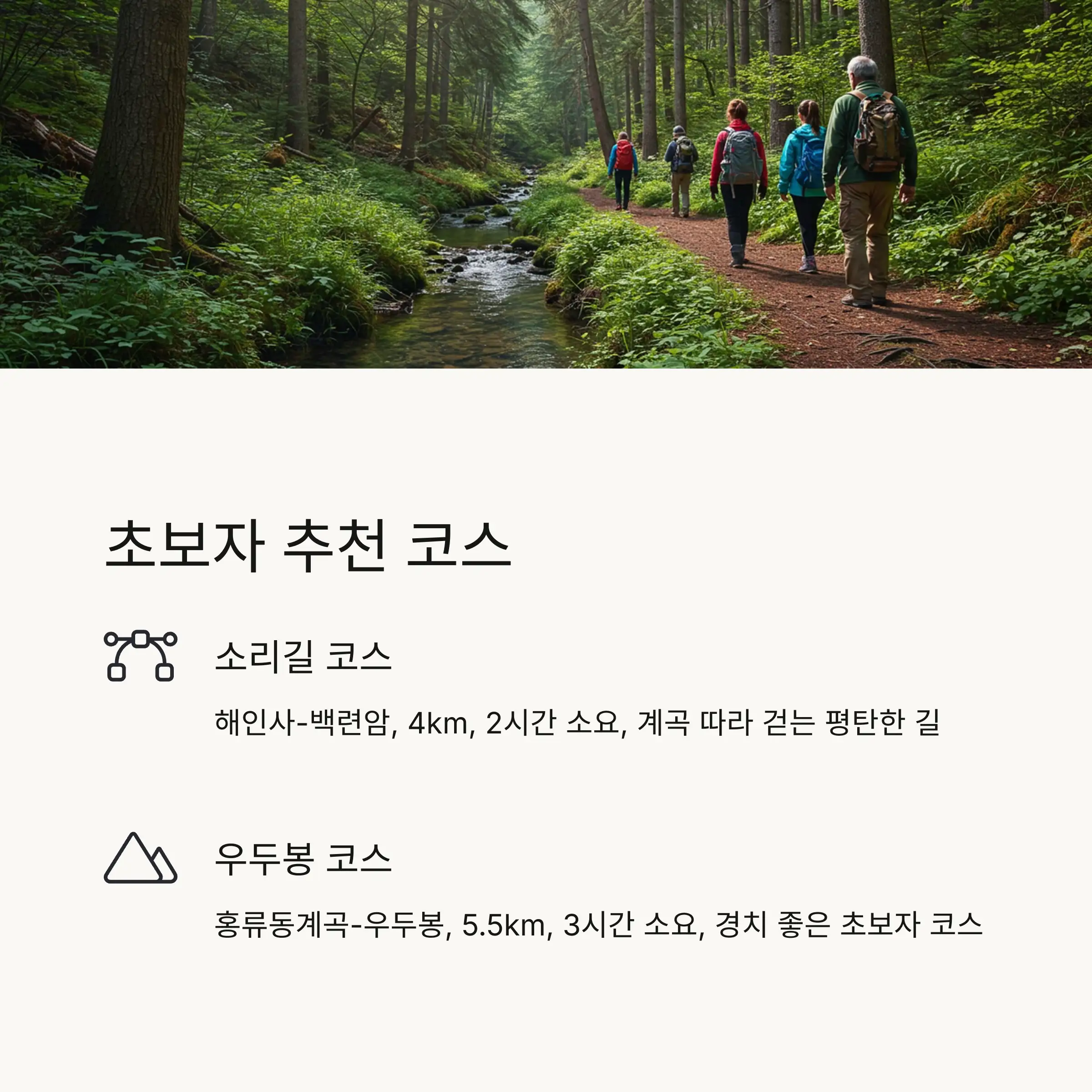 🌱 초보자 추천 코스