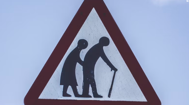 치매검사비-지원사업