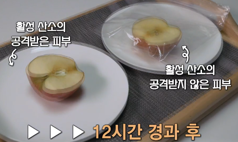 코엔자임큐텐의 효능